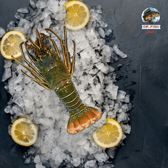 استاكوزا فاهيتا بالخضار  (نسخة)