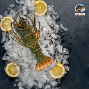 استاكوزا فاهيتا بالخضار  (نسخة)